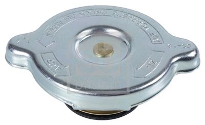 TAPON DEPOSITO DE ANTICONGELANTE
