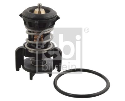 TERMOSTATO DE MOTOR