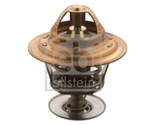 TERMOSTATO DE MOTOR