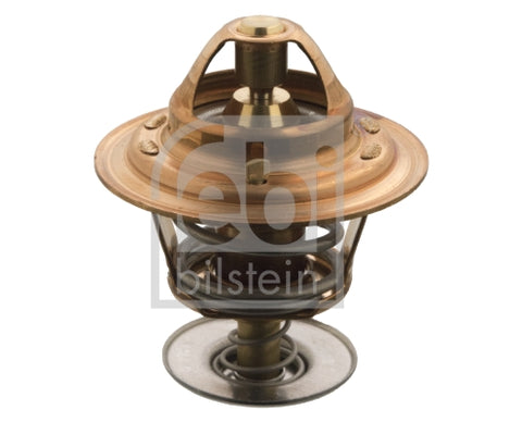 TERMOSTATO DE MOTOR
